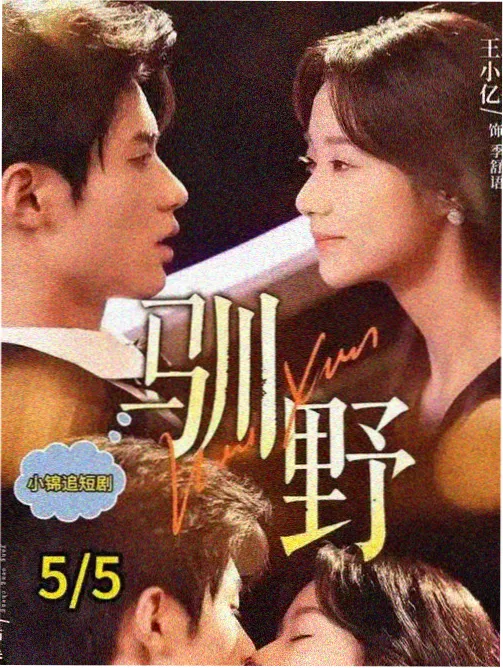 浅见弥子人物关系梳理画面